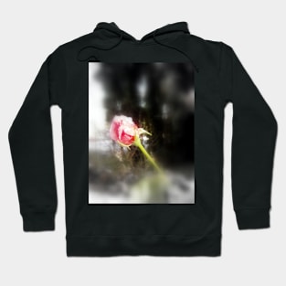 rosebud in the snow Hoodie